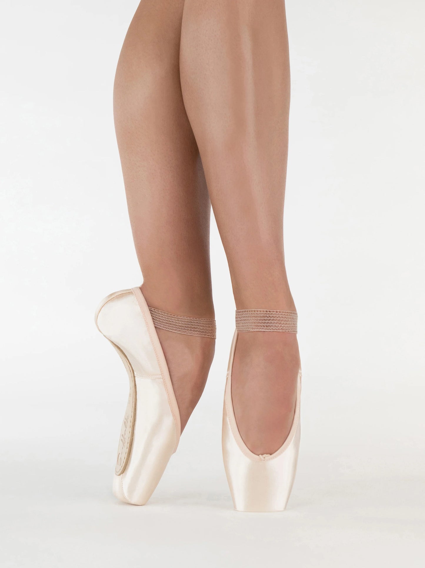 Suffolk Reign Standard Shank Pointe Shoe